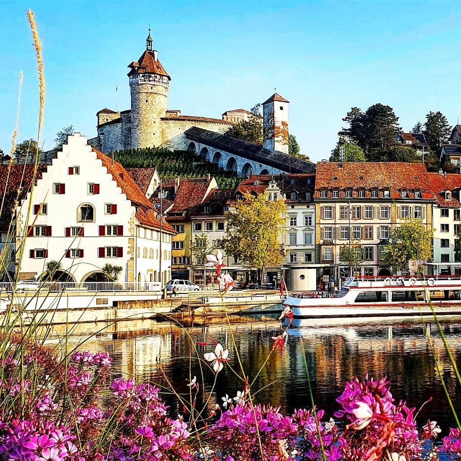 Apartment Suedwind - Beautiful Premium Apartment With 2 Bedrooms Near Rhine Falls & Zurich Airport In Klettgau Weisweil  Exterior foto